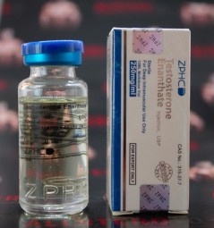 Testosterone Enanthate 250 mg/ml - (Zhengzhou)